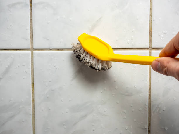 Mold Removal Process in Haslett, MI
