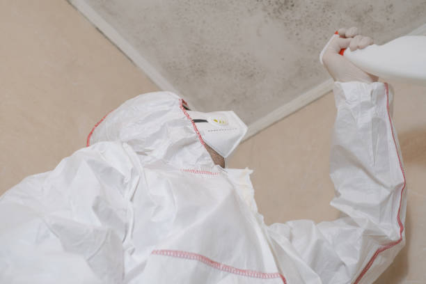 Professional Mold Removal in Haslett, MI