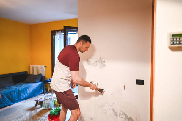 Best Mold Removal Company Near Me  in Haslett, MI